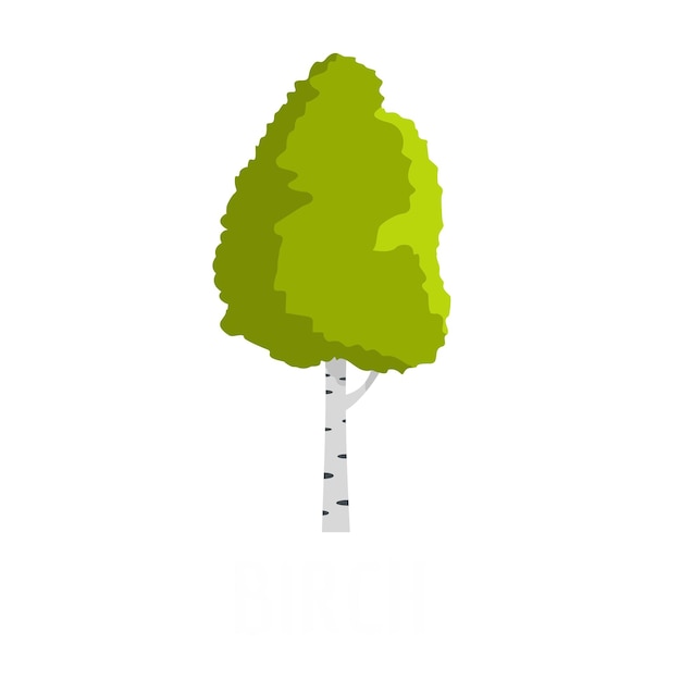 Birch tree icon Flat illustration of birch tree vector icon isolated on white background