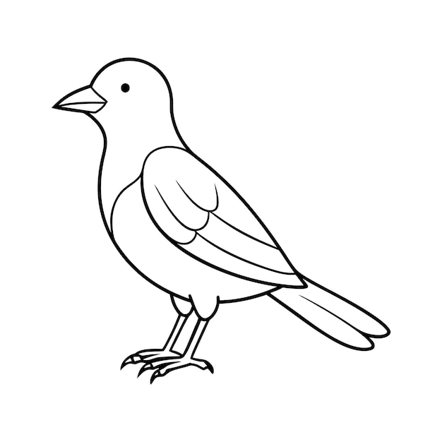 Vector bird on branch thin line icon editable stroke