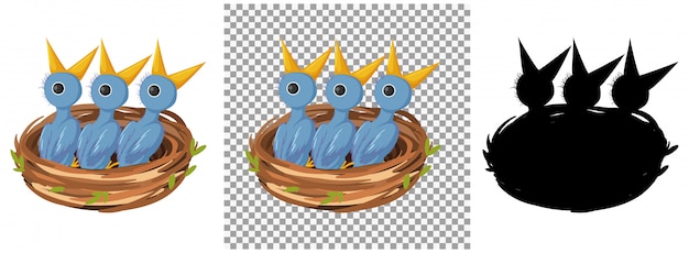 Vector bird chicks cartoon character