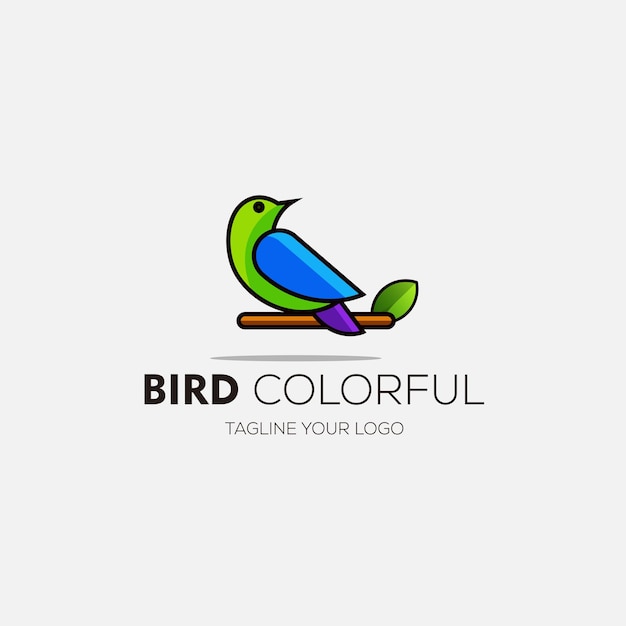 Bird color logo vector design illustration