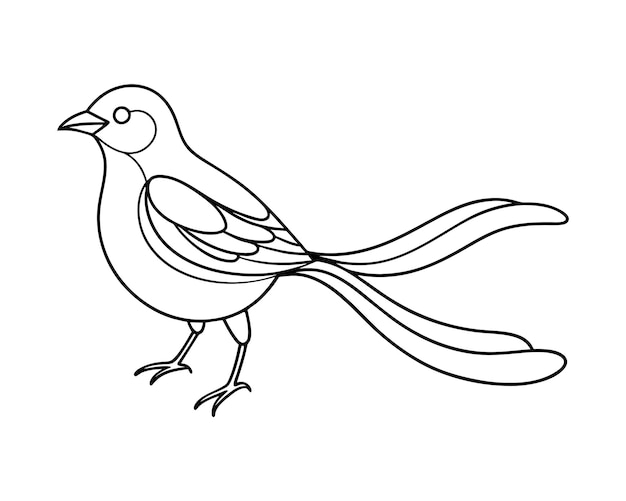 Bird continuous black line art drawing vector illustration on white background