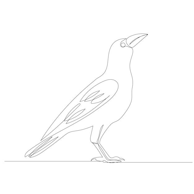 Bird drawing by one continuous line sketch