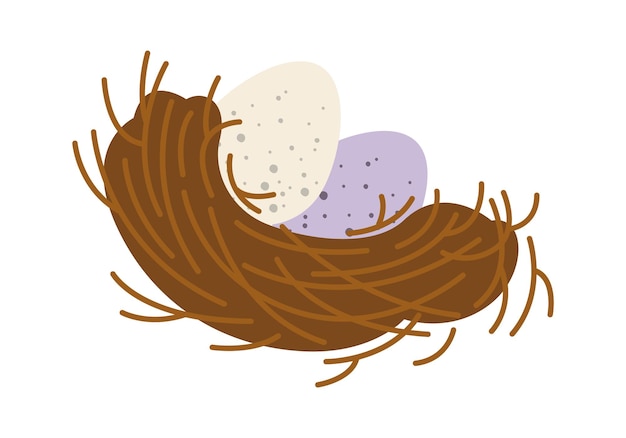 Vector bird eggs inside nest flat icon