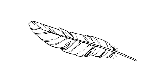 Bird feather for a dreamcatcher Sketch feather illustration for a tattoo design