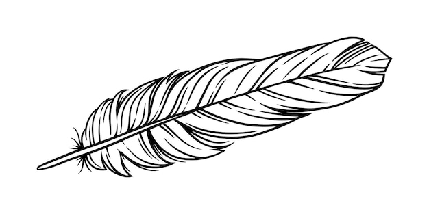 Bird feather for a quill Handwriting feather isolated in white background Vector illustration