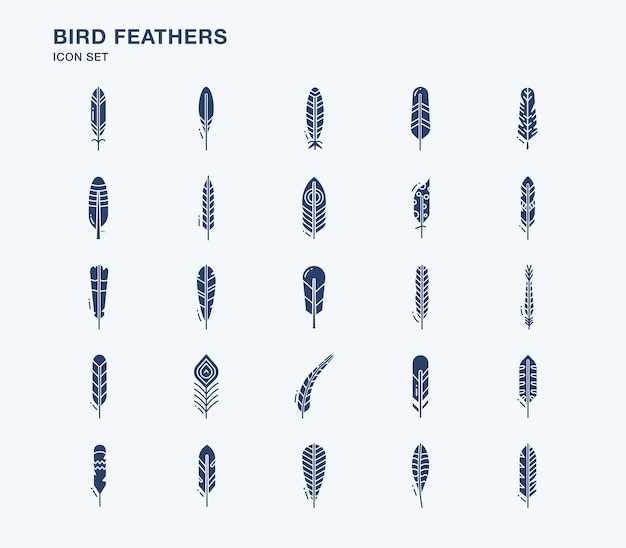 Bird feather and quill vector icon