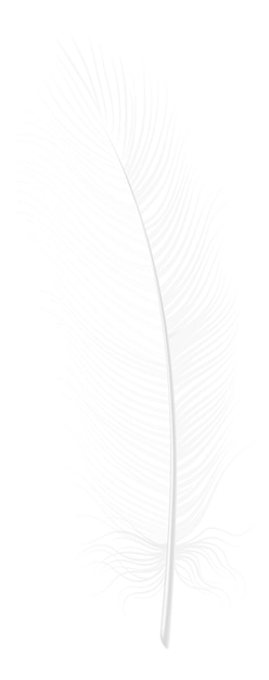 Bird feather Realistic white fluffy quill mockup