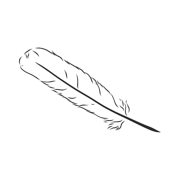 Bird feathers Hand drawn illustration converted to vector