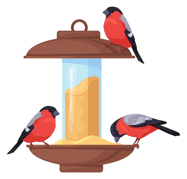 Bird feeder with eating wild bullfinch cartoon icon