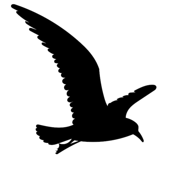 Bird flies, black silhouette vector, isolated