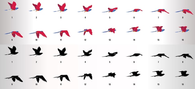 Bird Flying cycle  animation sequence vector