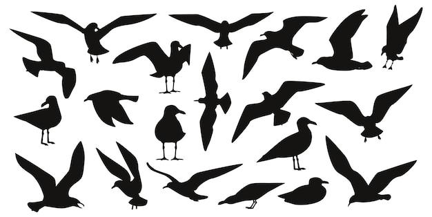 Bird gull cartoon set isolated Vector Silhouettes