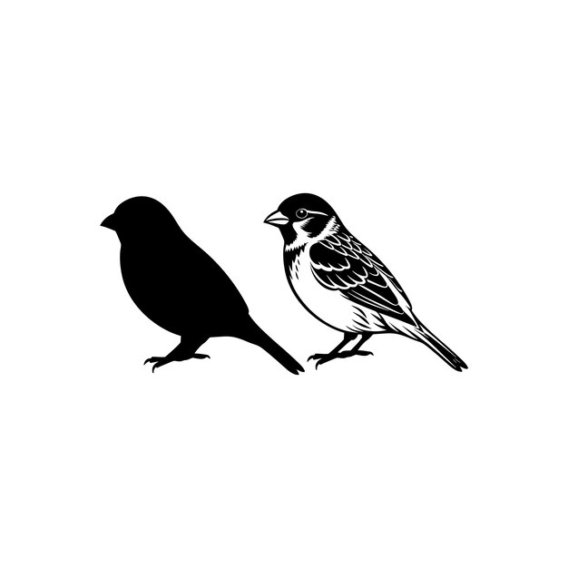 Vector bird house sparrow silhouette vector