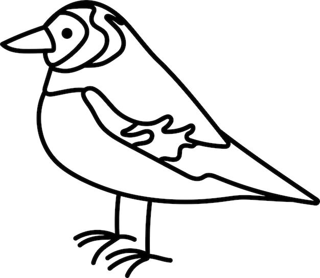 Bird Illustration