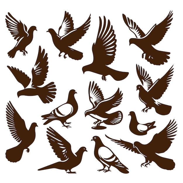 Bird logo 4 set Silhouette illustration vector simple design