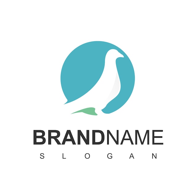 Bird Logo Design With Pigeon, Dove Symbol