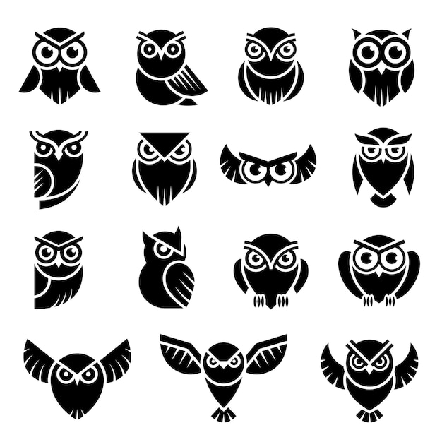 Bird logo. Wild owl knowledge symbols vector stylized modern graphic illustration. Identity predator logo, wild owl silhouette