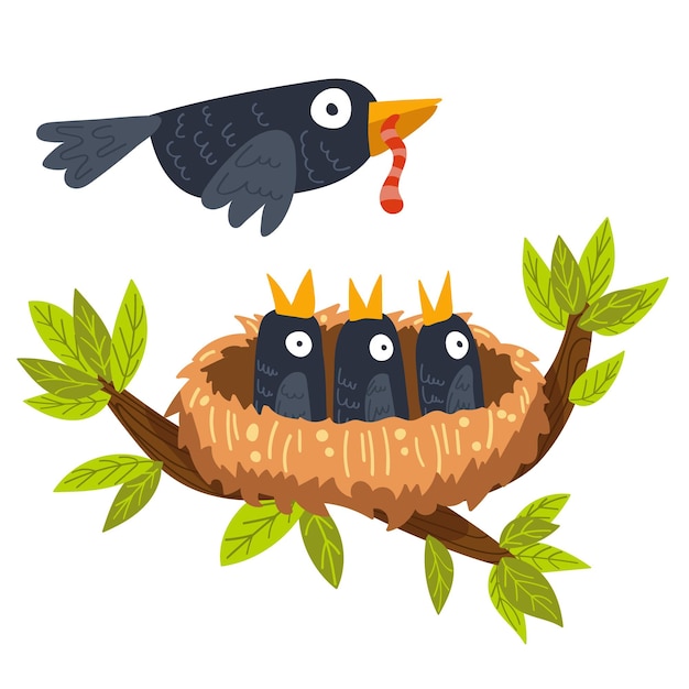 Bird nest with chicks bird feeds chicks vector illustration