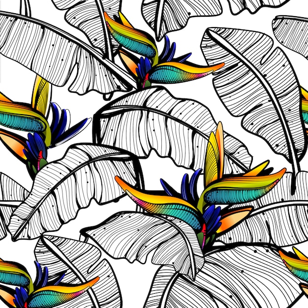 Bird of paradise leaves Pattern