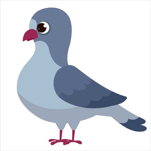 Bird pigeon dove animal fauna cute cartoon style illustration