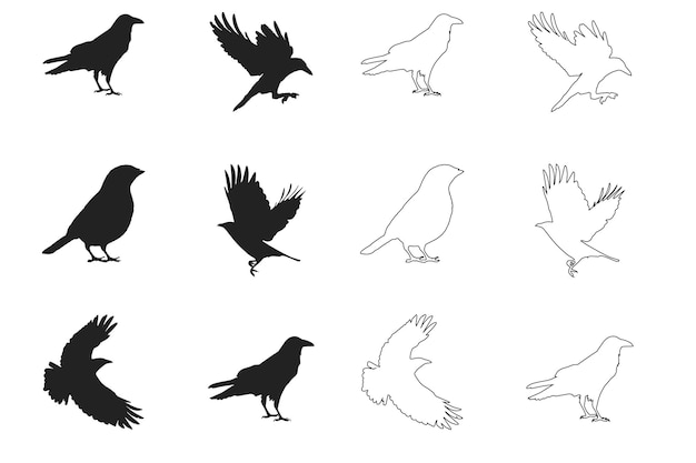 Bird set silhouette premium vector art