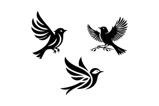 bird silhouette illustration 123