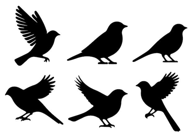 Bird Silhouette vector art