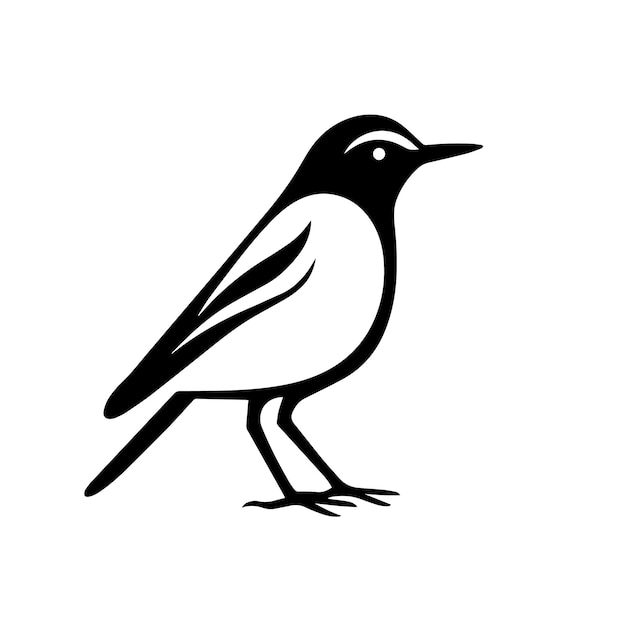 Bird silhouette vector illustration Bird silhouette Icon and Sign