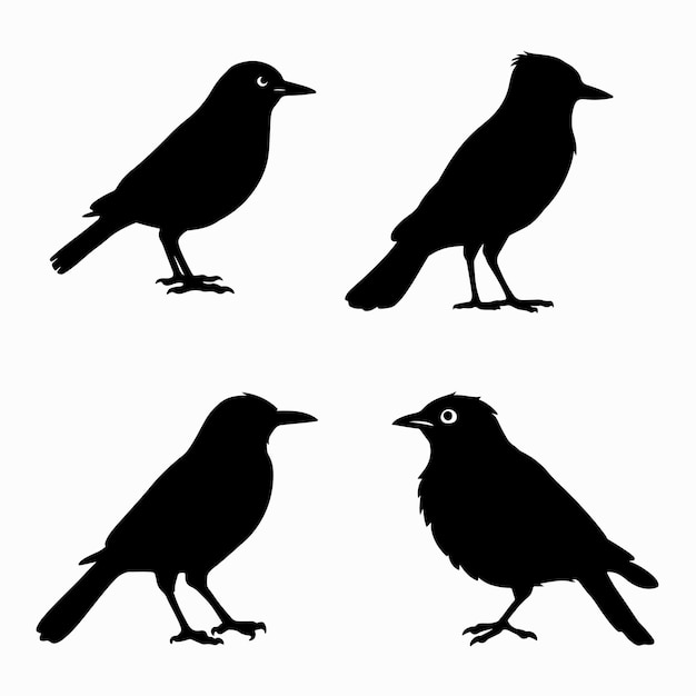 Bird silhouettes