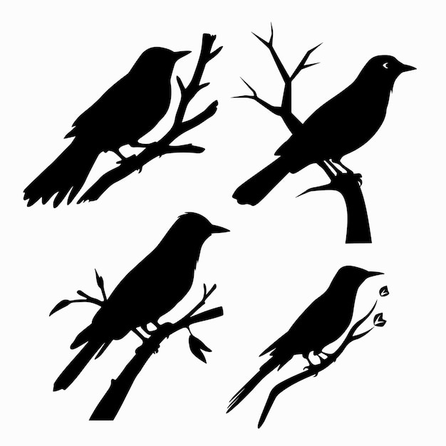 Bird silhouettes