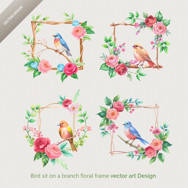 Vector bird sit on a branch floral watercolor frame with flower set art illustration vector design