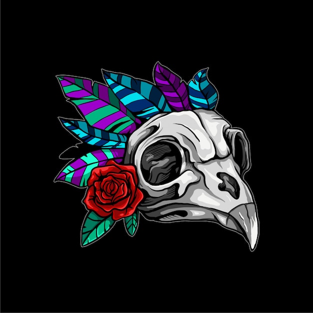 Bird skull illustration