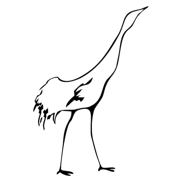 Bird stork