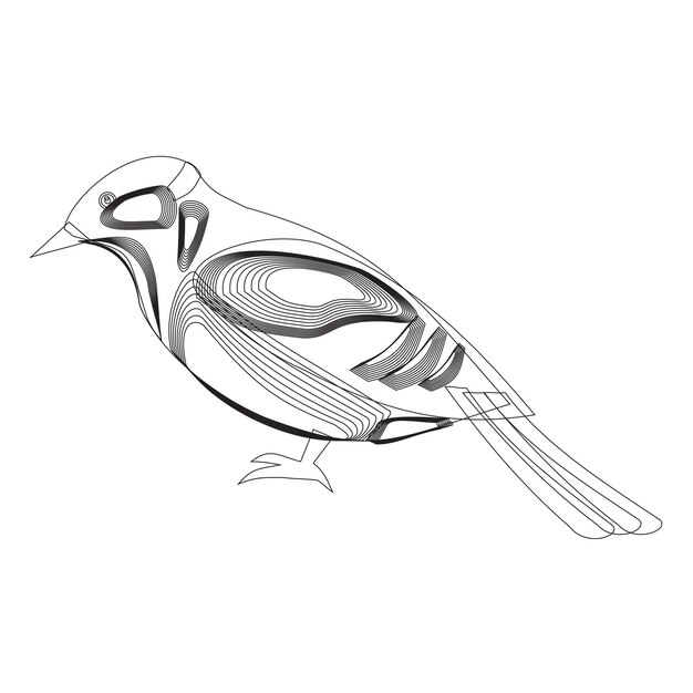 Vector bird vector illustration design elements