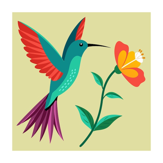 Vector bird vector illustration hummingbird cartoon design