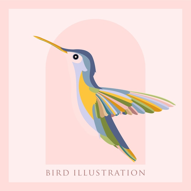 bird vector illustration