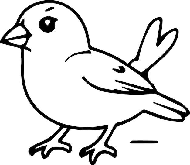 bird vector outline