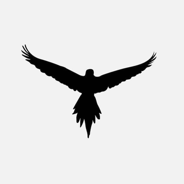 Bird vector png