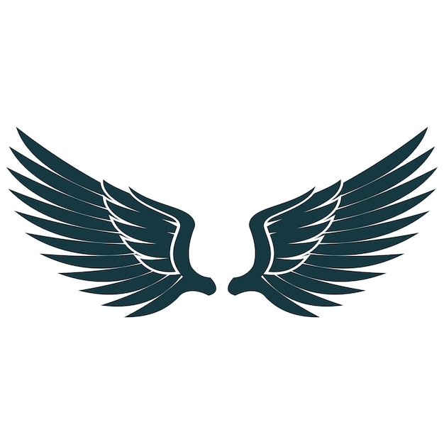 Bird wings illustration logo