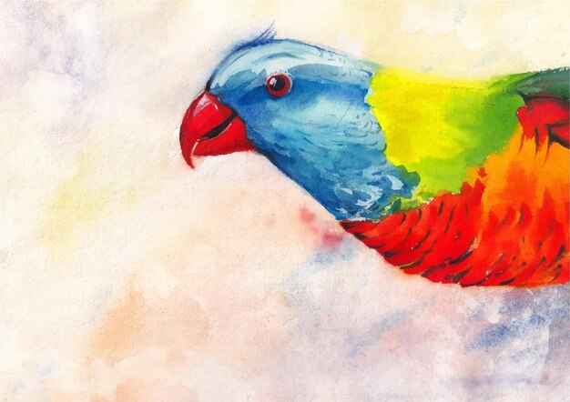 Vector bird with colorful watercolor art background