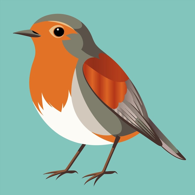 Vector a bird with a white and orange feathers is standing on a blue background