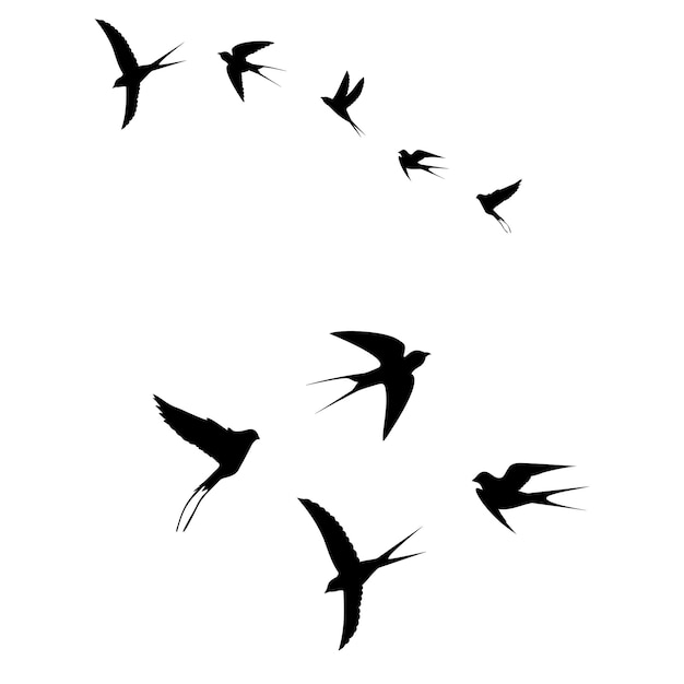 birds are flying in a flock black iconvector illustration