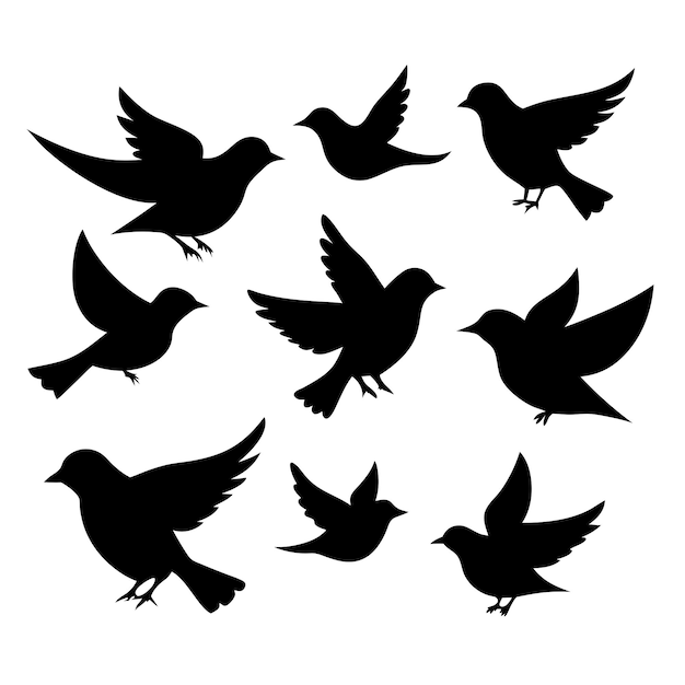 Vector birds black silhouettes collection isolated white background 10