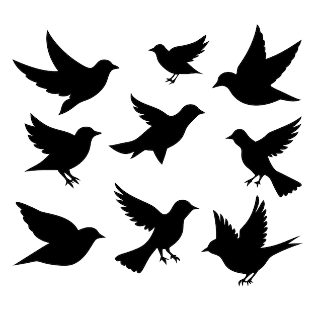 Vector birds black silhouettes collection isolated white background 11