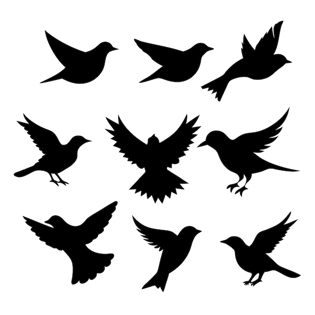 Birds black silhouettes collection isolated white background 27