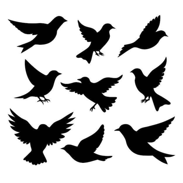 Birds black silhouettes collection isolated white background 4