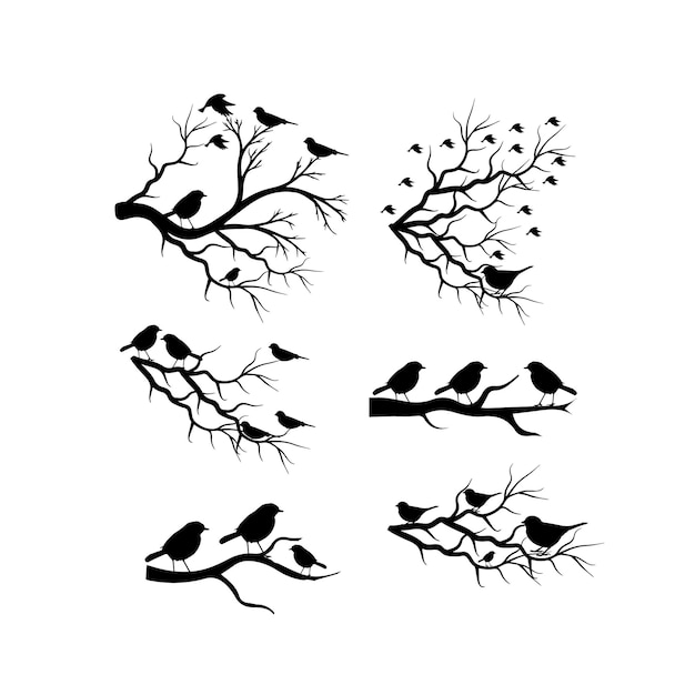 Birds on branches. nature and animal, silhouette and flower and wildlife vector illustration