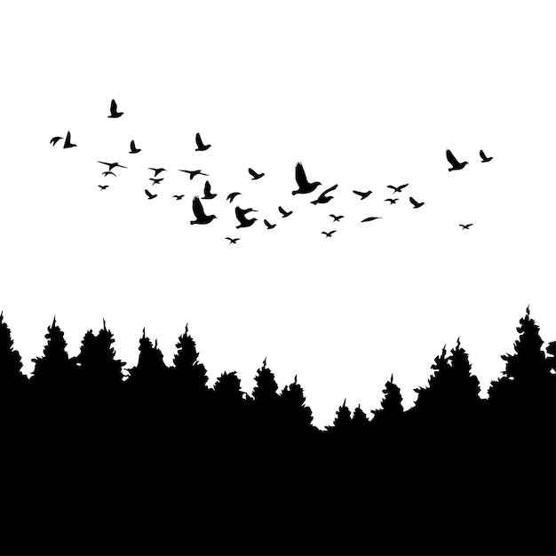 Vector birds flock black and white birds flying