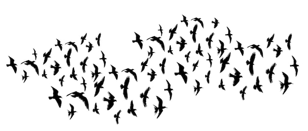 Birds flying flock silhouette set isolated