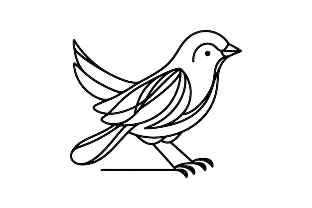 Birds line art vector illustration 2